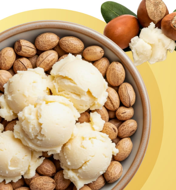 Shea nuts and refined shea butter